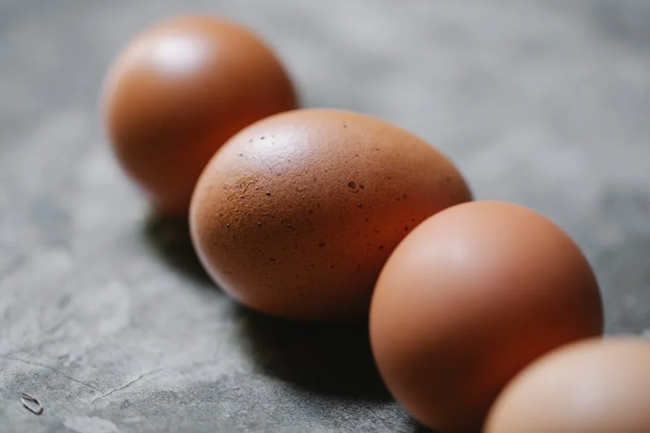Obter a Certidão de Registro de Produtos de Saúde e Nutrição Animal